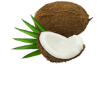 Coconut Blossom’s