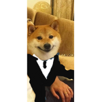 The doge A.G.EN.C.Y