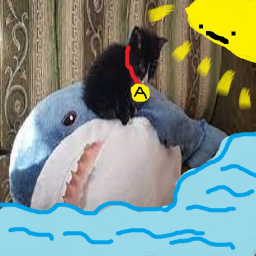 Annoying Cat Ocean!