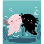 ~Axolotl =*-*= Squad~