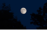 -Night sky moon-