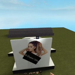oVideo Recording©'s Dangerous Woman Concert