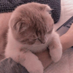 Ko0l