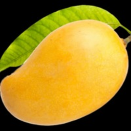 mango obby