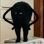 - 전생