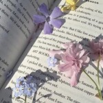 ✧･ﾟ: *✧･ﾟ:*