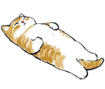 catss for all
