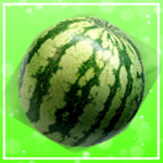 It's Watermelon Gang