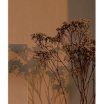 Blue____Elf