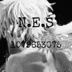 NES(Never ending sin)
