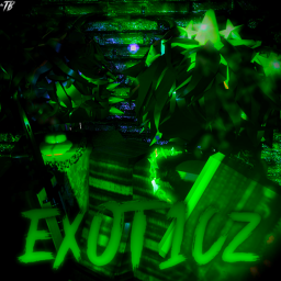 EX0T1CZ Hangout