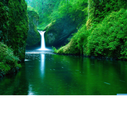 Natures' Cafe'!