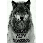 Team wolf xD