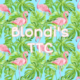 Blondi's ttc