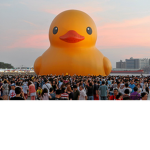 •Duckie Fan Group•