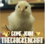 TheChickenChat