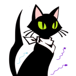 the cute black cats