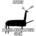 LolGamerHD