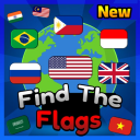 Find The Flags (350) 🌍