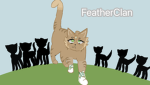 Featherclan <3