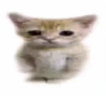 AvA_Pastek