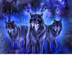 lunar wolfie club