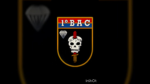 "BAC" • Batalhão de Ações de Comandos