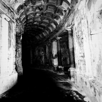 ℌ𝔬𝔩𝔩𝔬𝔴 𝔱𝔯𝔢𝔢