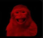 Content_Deleted_7621084