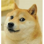 Master Doge Games