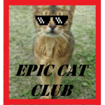 Epic cat club