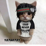 LeadNeverFollow