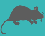 Ratopia.