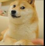 The Doge Smp And Clan