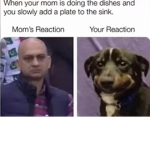 The hood boi