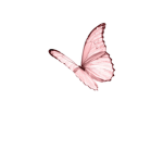 We stand pink