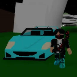 Secret Brookhaven RP icon