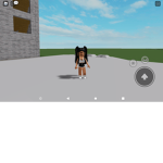 Hai bsf