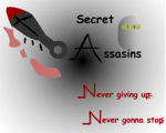 The Secret Assassins