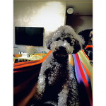 나의친구여! 모여라!