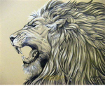 +~~~ Akeen Pride ~~~+