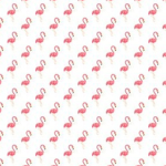 Wendys clothing xx