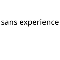 Sans Experience icon