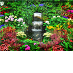 The Garden!!