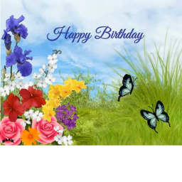 Happy birthday place for people who have birthdays