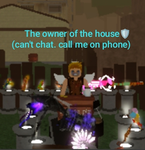 The owner house
