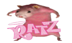 Rat community that likes cheese
