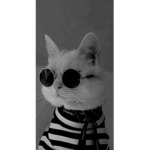 قروب القناة