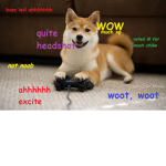 DoggyGames Inc.