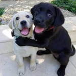 hello hi hi hiiiiiiiiiiii